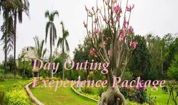 Day Outing Experience